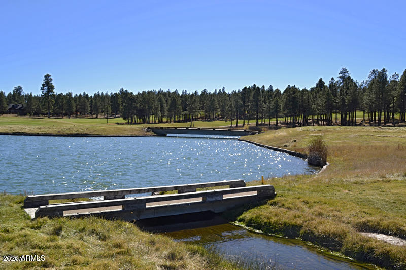 4384 Griffiths Spring Flagstaff, AZ 86005 - Photo 47 of 60 Meadows Golf Course