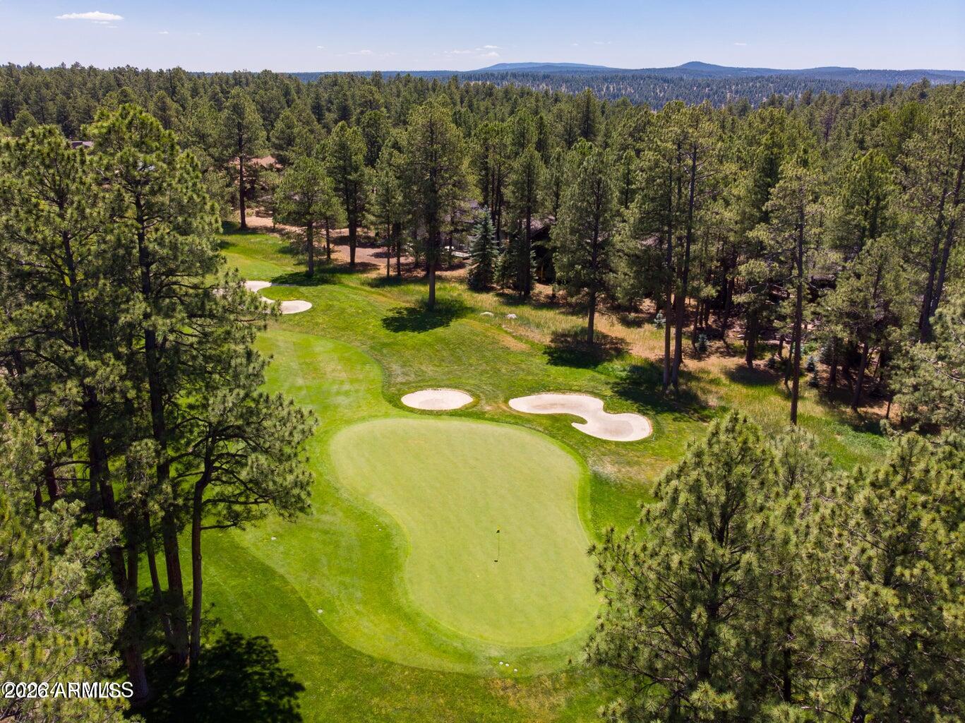 4384 Griffiths Spring Flagstaff, AZ 86005 - Photo 48 of 60 Golf course 2