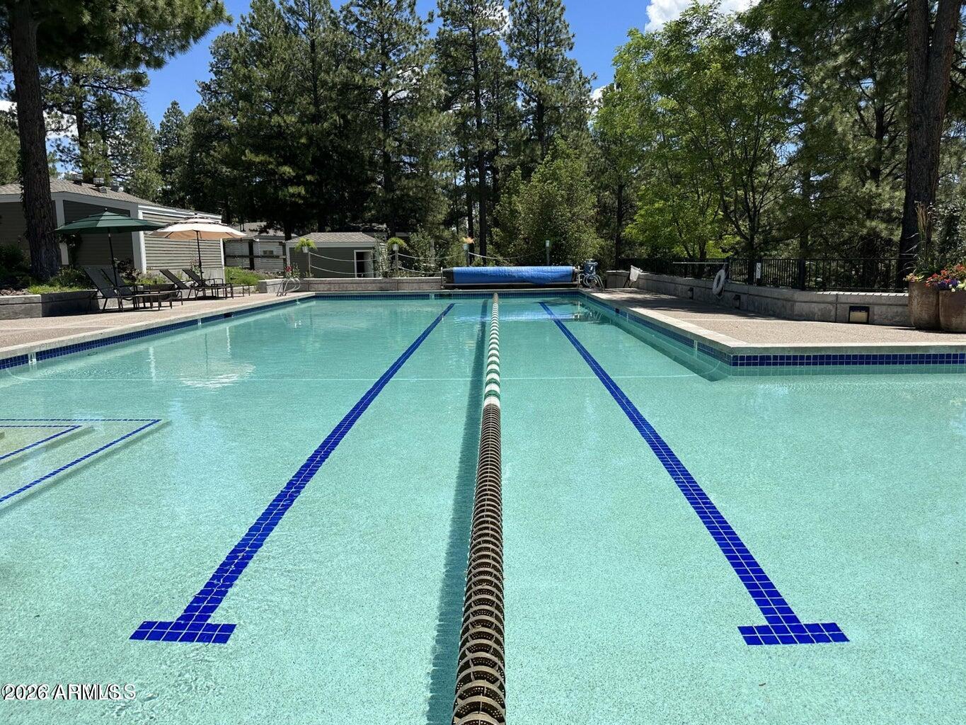 4384 Griffiths Spring Flagstaff, AZ 86005 - Photo 58 of 60 Lap Pool