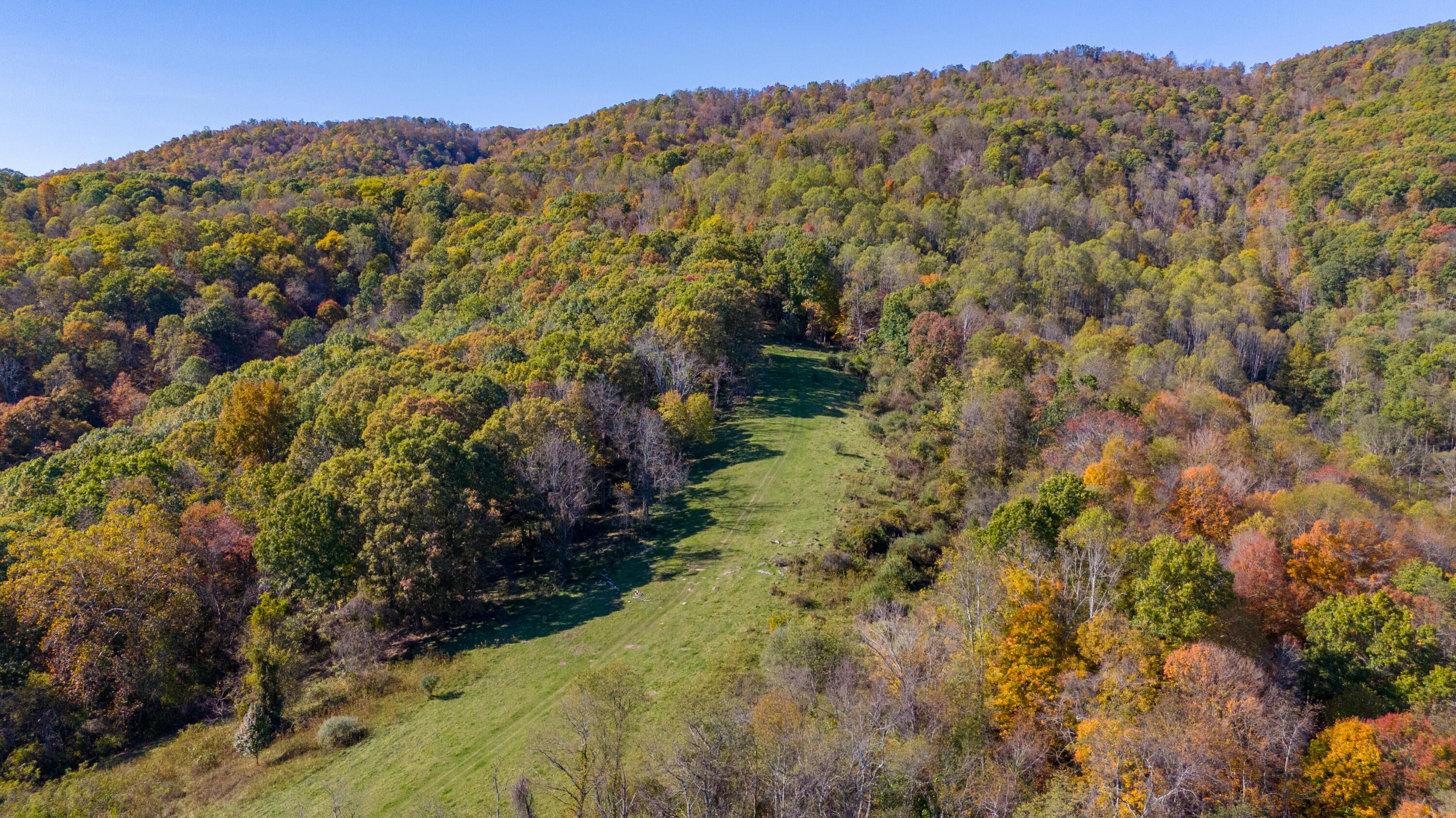 Davis Stuart Road Lewisburg, WV 24901 - Photo 10 of 72 Gallery Image 10