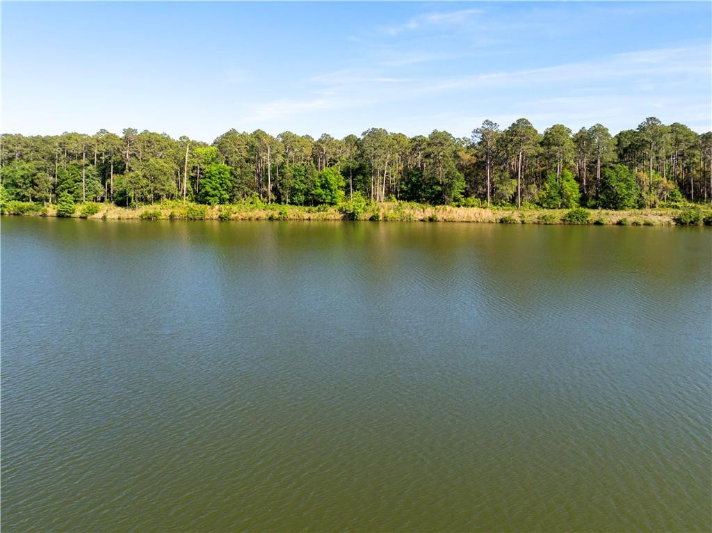 1317 Pikes Bluff Road, Unit 293 St. Simons Island, GA 31522 - Photo 4 of 12