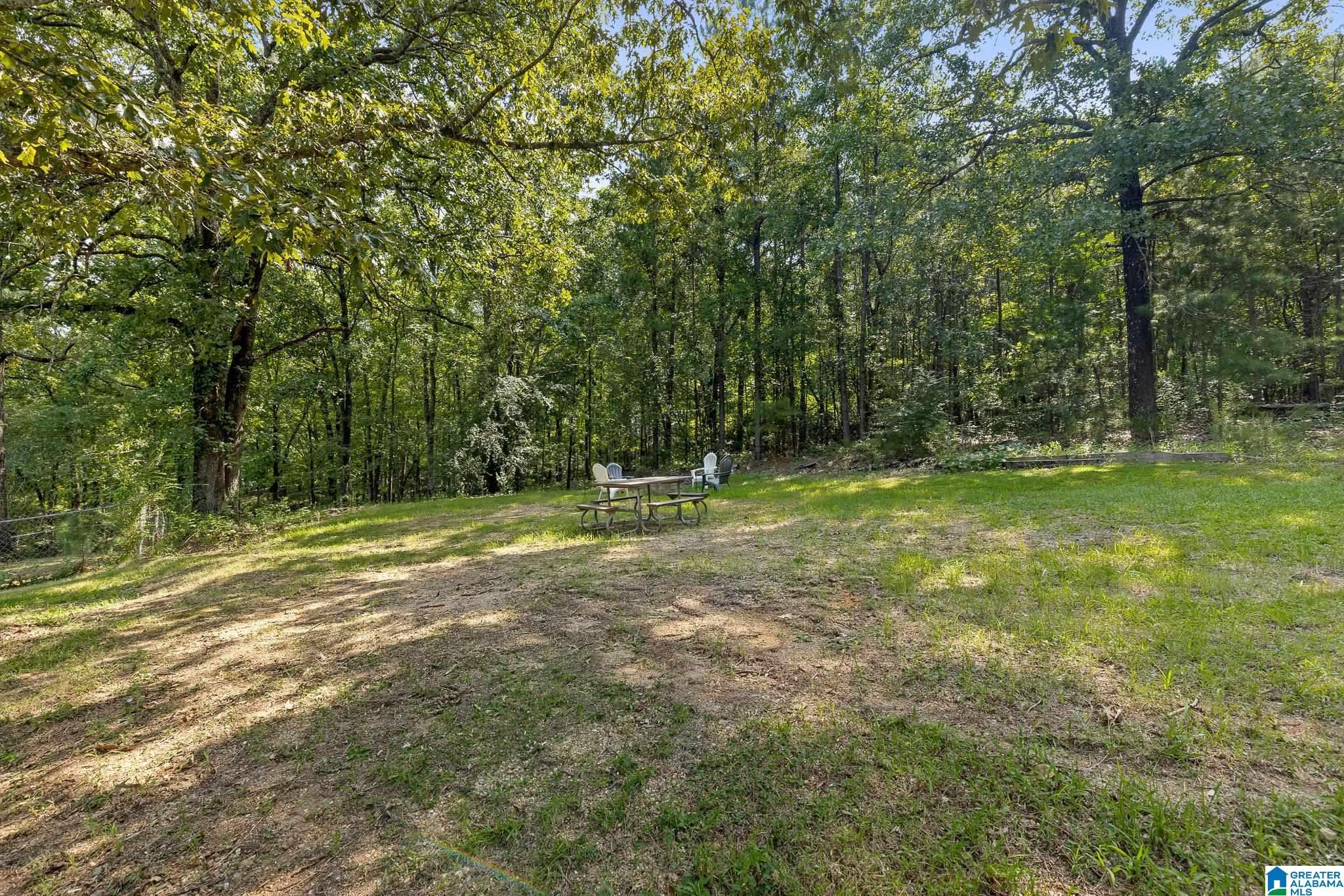 2105 Church Road Pell City, AL 35128 - Photo 44 of 44
