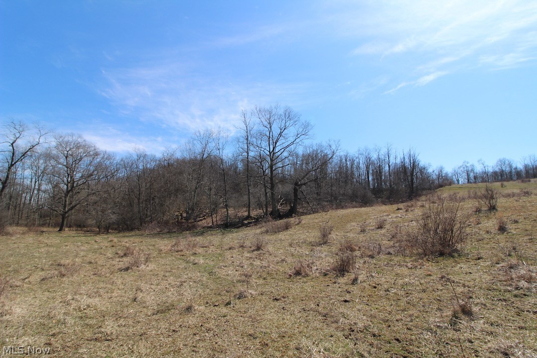 145 State Route Woodsfield, OH 43793 - Photo 10 of 31