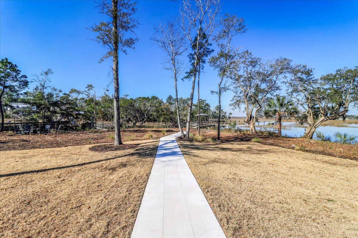3917 Delinger Dr Mount Mount Pleasant, SC 29466 - Photo 35 of 73 Path To Private Dock