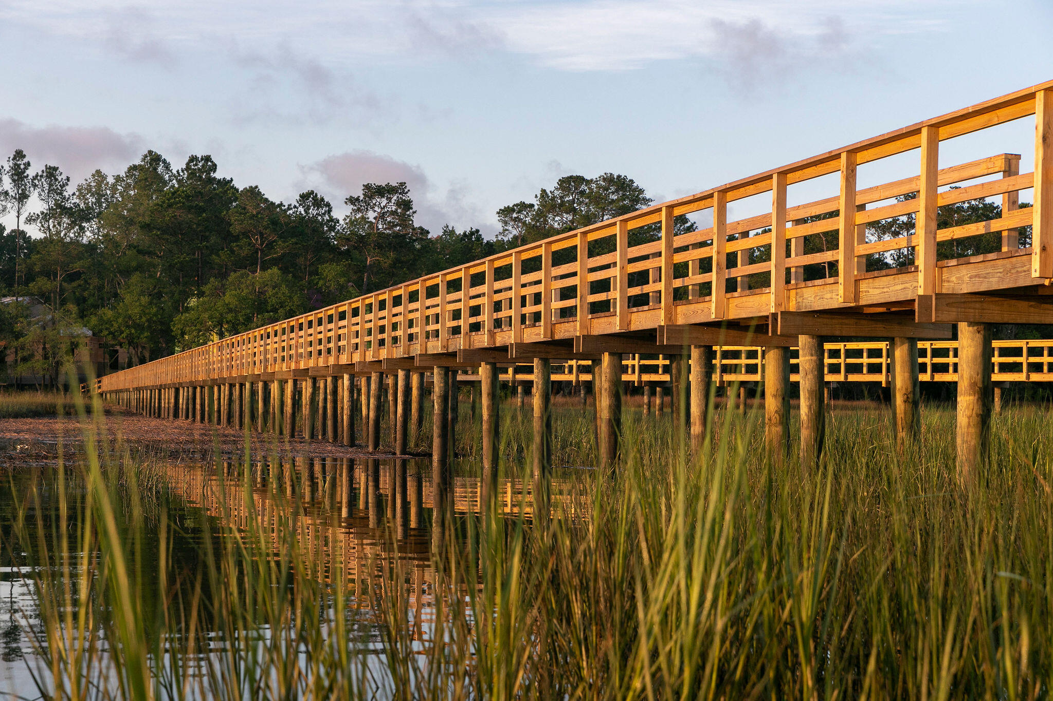 3917 Delinger Dr Mount Mount Pleasant, SC 29466 - Photo 37 of 73 Custom Dock
