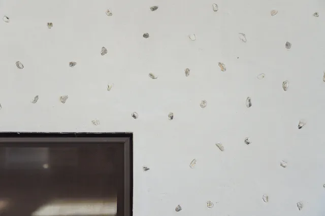 $3,299,000 | 3917 Delinger Dr Mount, Mount Pleasant, SC 29466