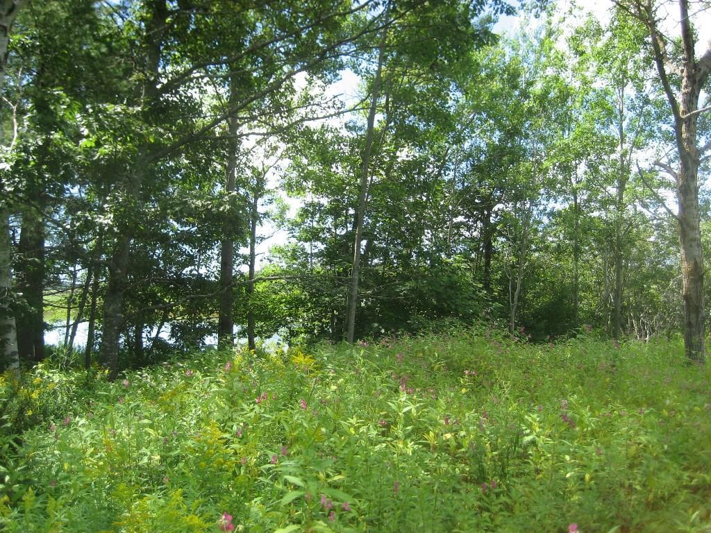 0 Toll Bridge Road Thomaston, ME 04861 - Photo 15 of 28 Photo