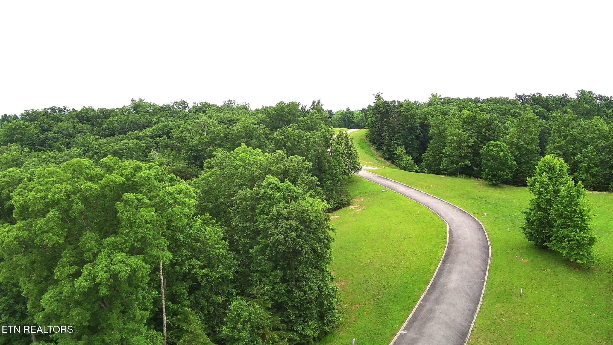 295 River Run Trail Spring City, TN 37381 - Photo 12 of 26