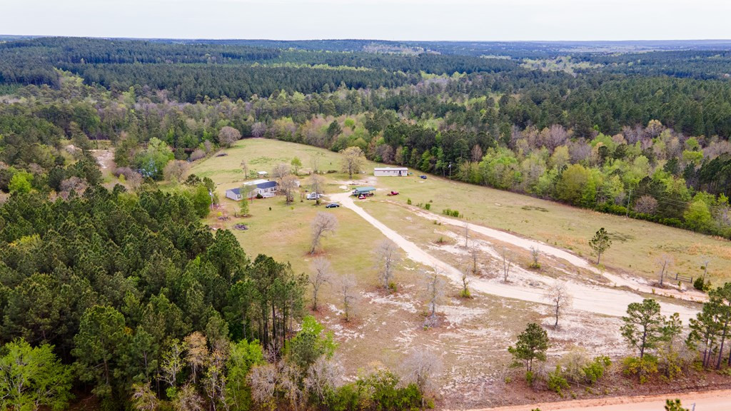 407 Sawyer Road Monetta, SC 29105 - Photo 10 of 46
