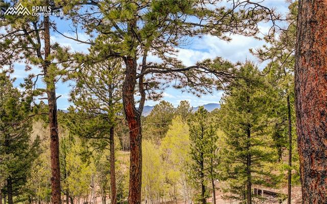357 Kutsu Ridge Road Florissant, CO 80816 - Photo 24 of 27