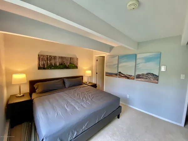 $10,500 | 630 East Cooper Avenue, Unit 18, Aspen, CO 81611