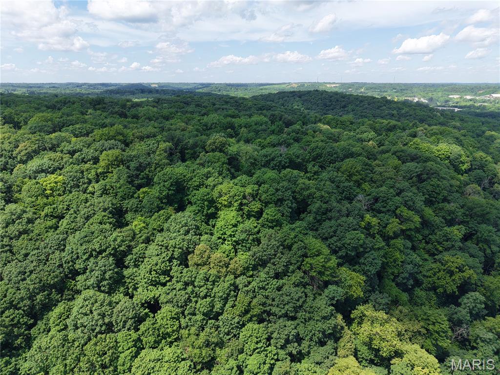 24 Monkey Run Hannibal, MO 63401 - Photo 11 of 15