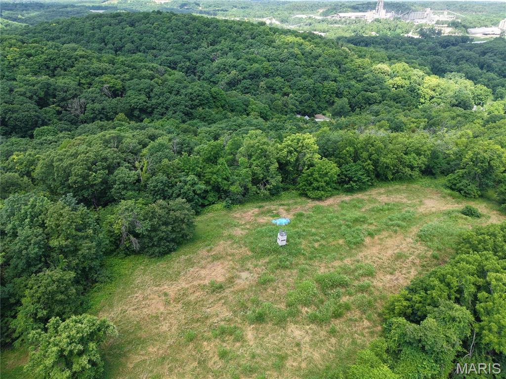 24 Monkey Run Hannibal, MO 63401 - Photo 2 of 15