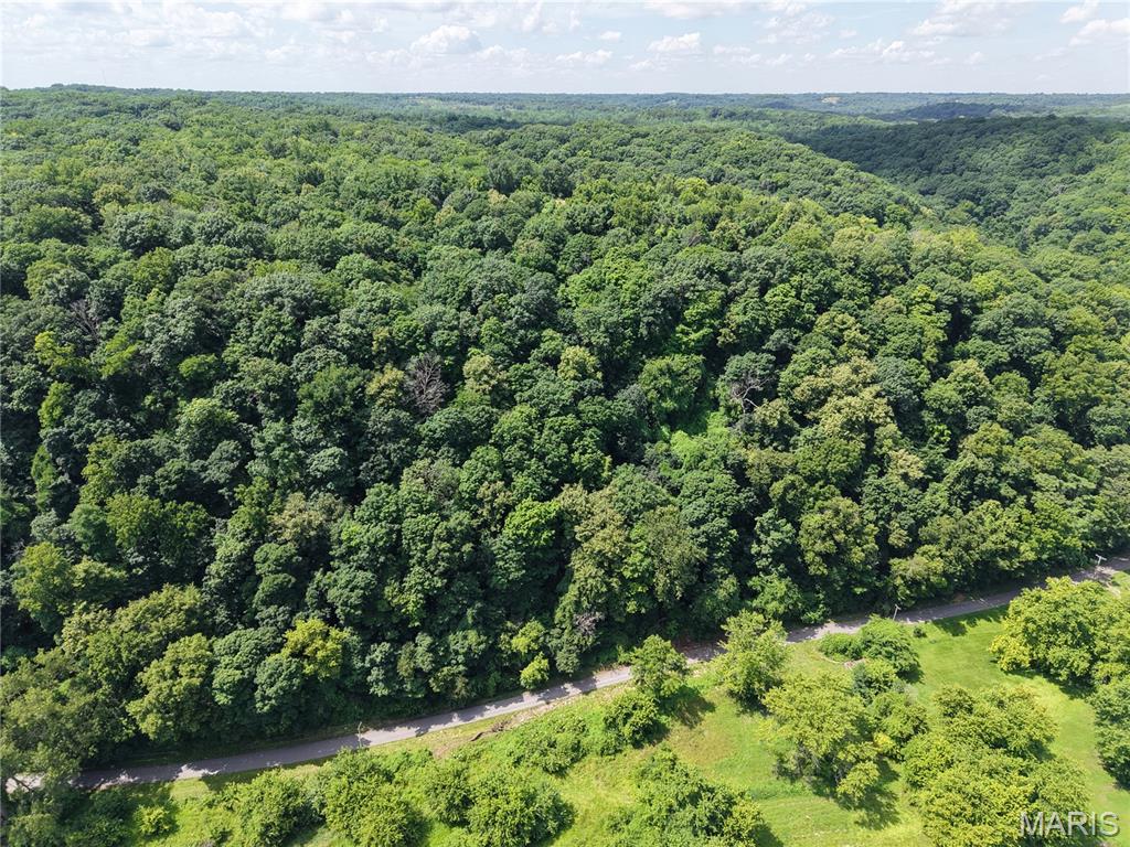24 Monkey Run Hannibal, MO 63401 - Photo 6 of 15