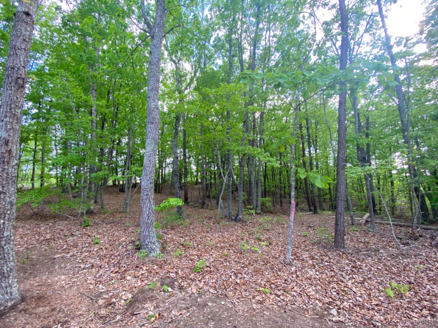 1583 Oak Rdg Road Appomattox, VA 24522 - Photo 4 of 8 Gallery Image 4