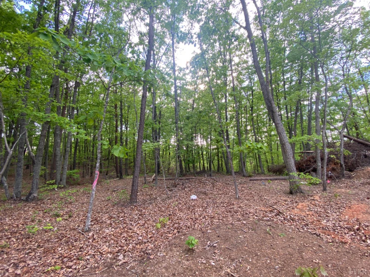 1583 Oak Rdg Road Appomattox, VA 24522 - Photo 5 of 8 Gallery Image 5