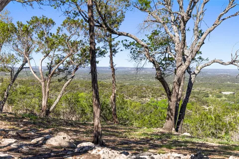 a view of a city with lush green forest