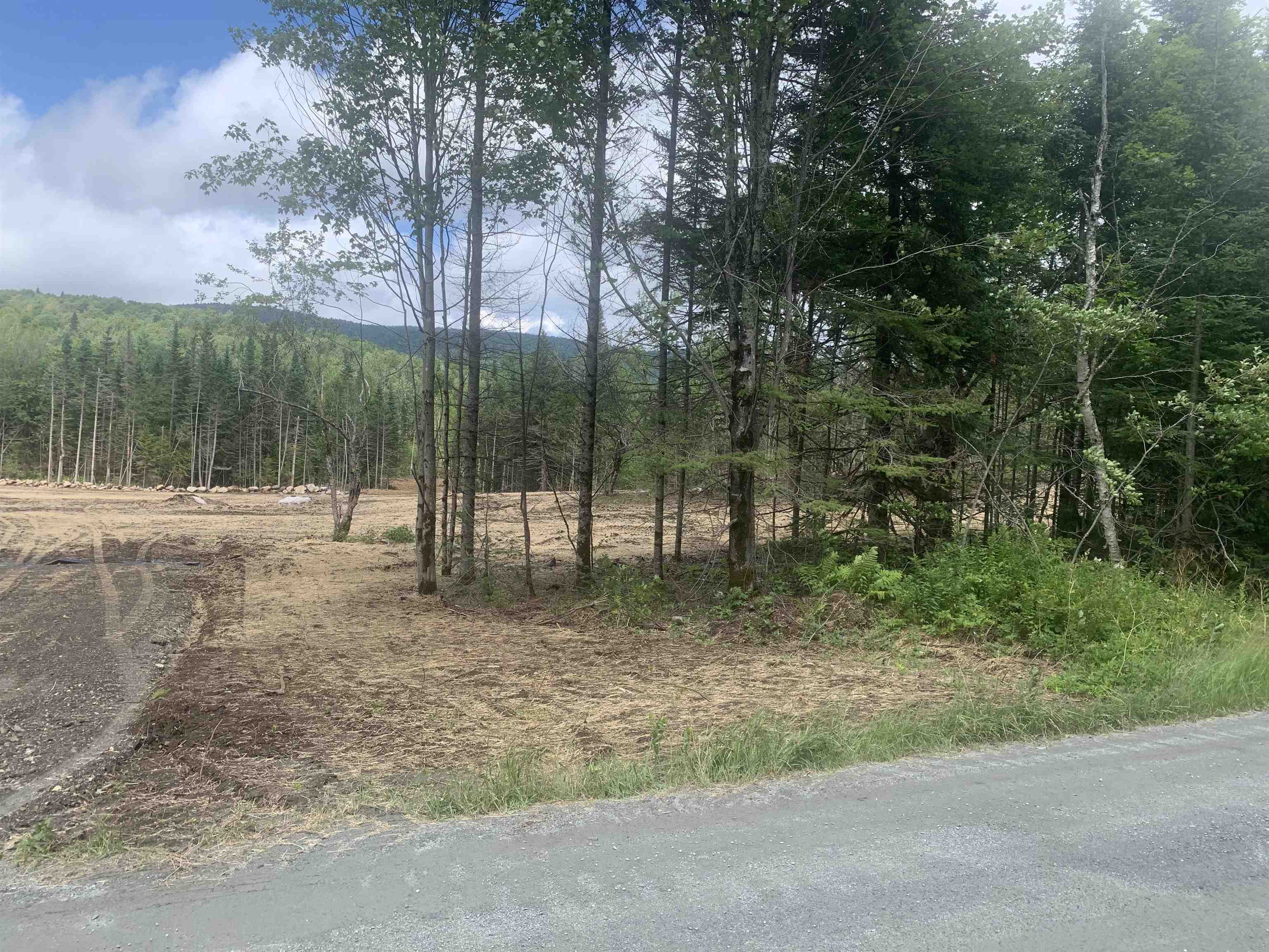 0 Victory Road, Unit 4 North Concord, VT 05858 - Photo 12 of 15