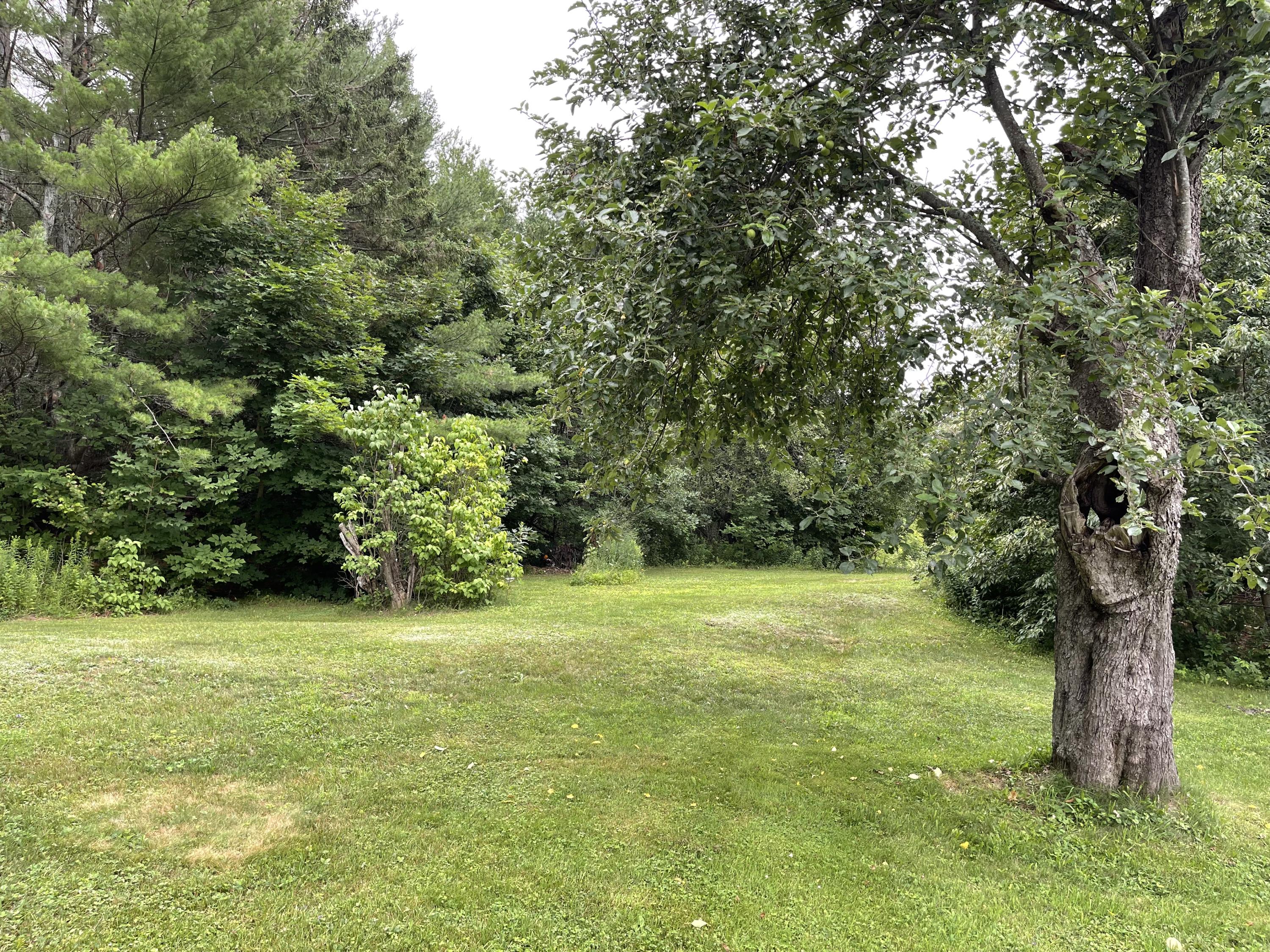 348 Branch Mills Road Palermo, ME 04354 - Photo 46 of 53 47. Yard