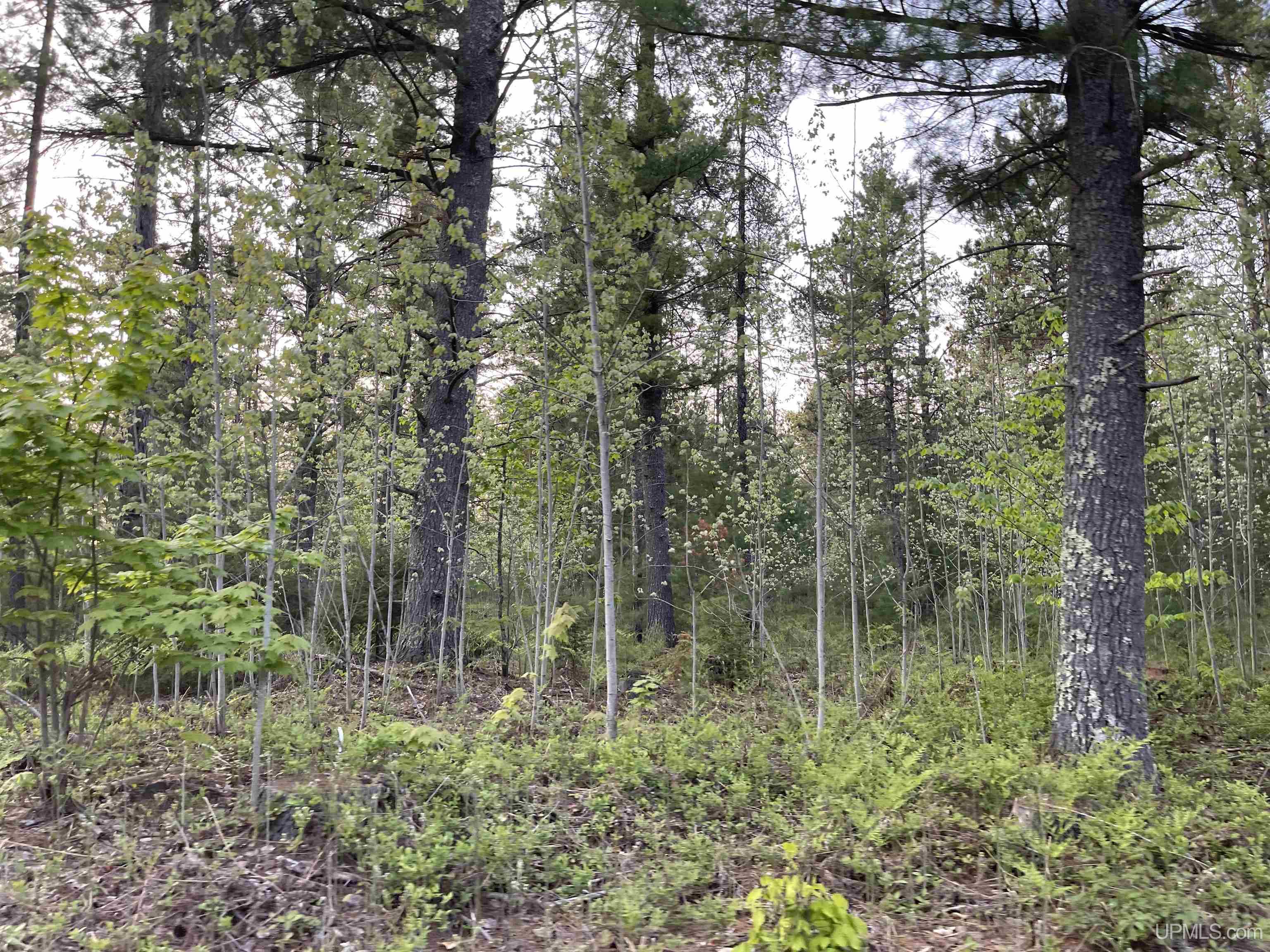 6627 West Co Road Manistique, MI 49854 - Photo 25 of 33