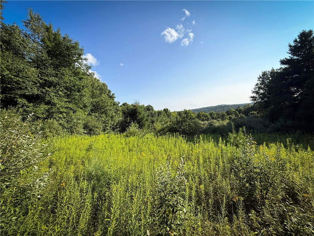 Wright Road Candor, NY 13743 - Photo 25 of 33 Gallery Image 25