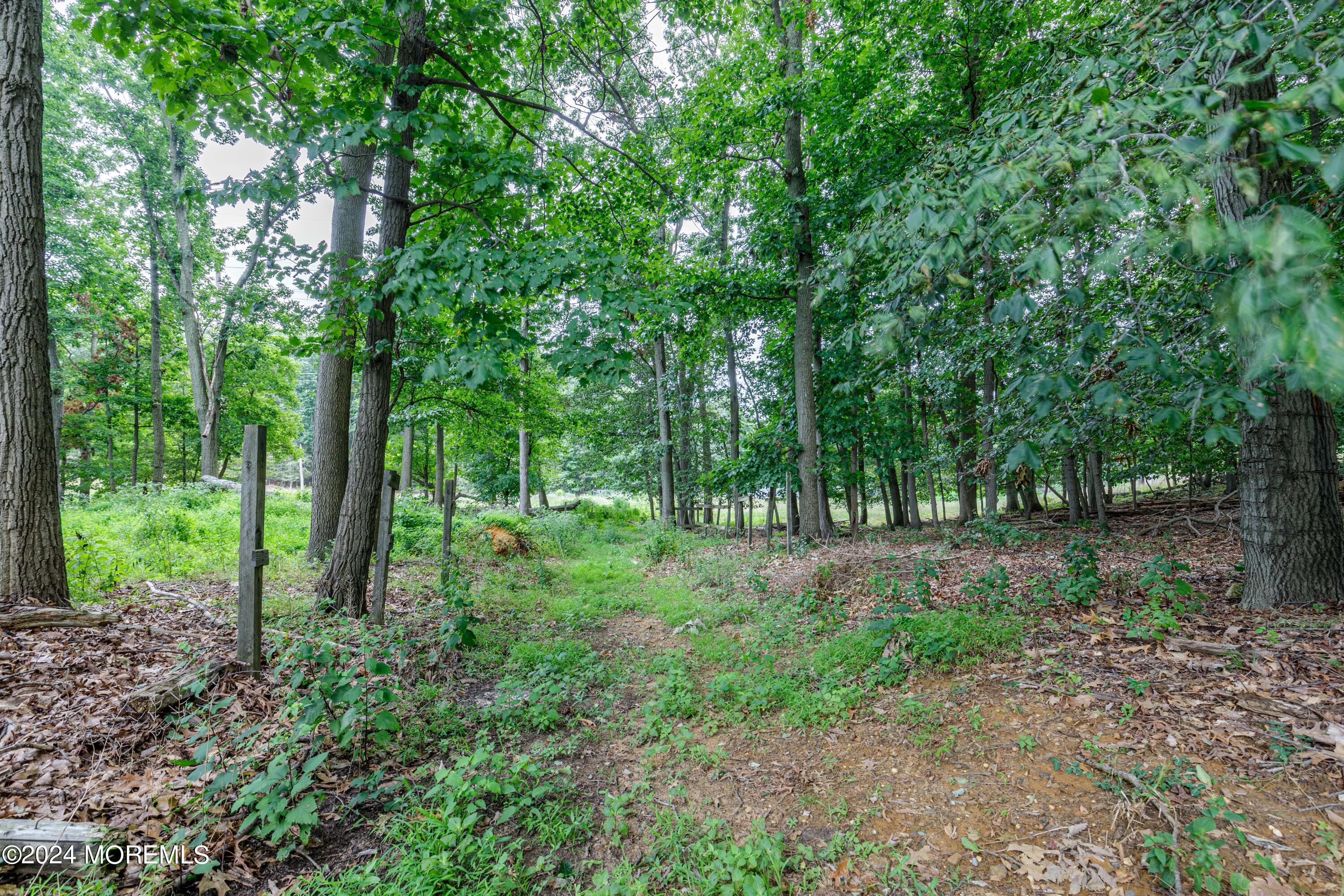 16 Boundary Road Marlboro, NJ 07746 - Photo 27 of 28 a view of backyard with green space