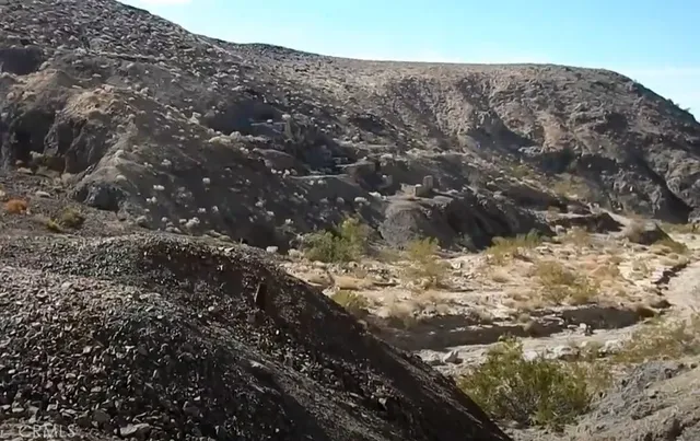 a view of a dry yard with green space