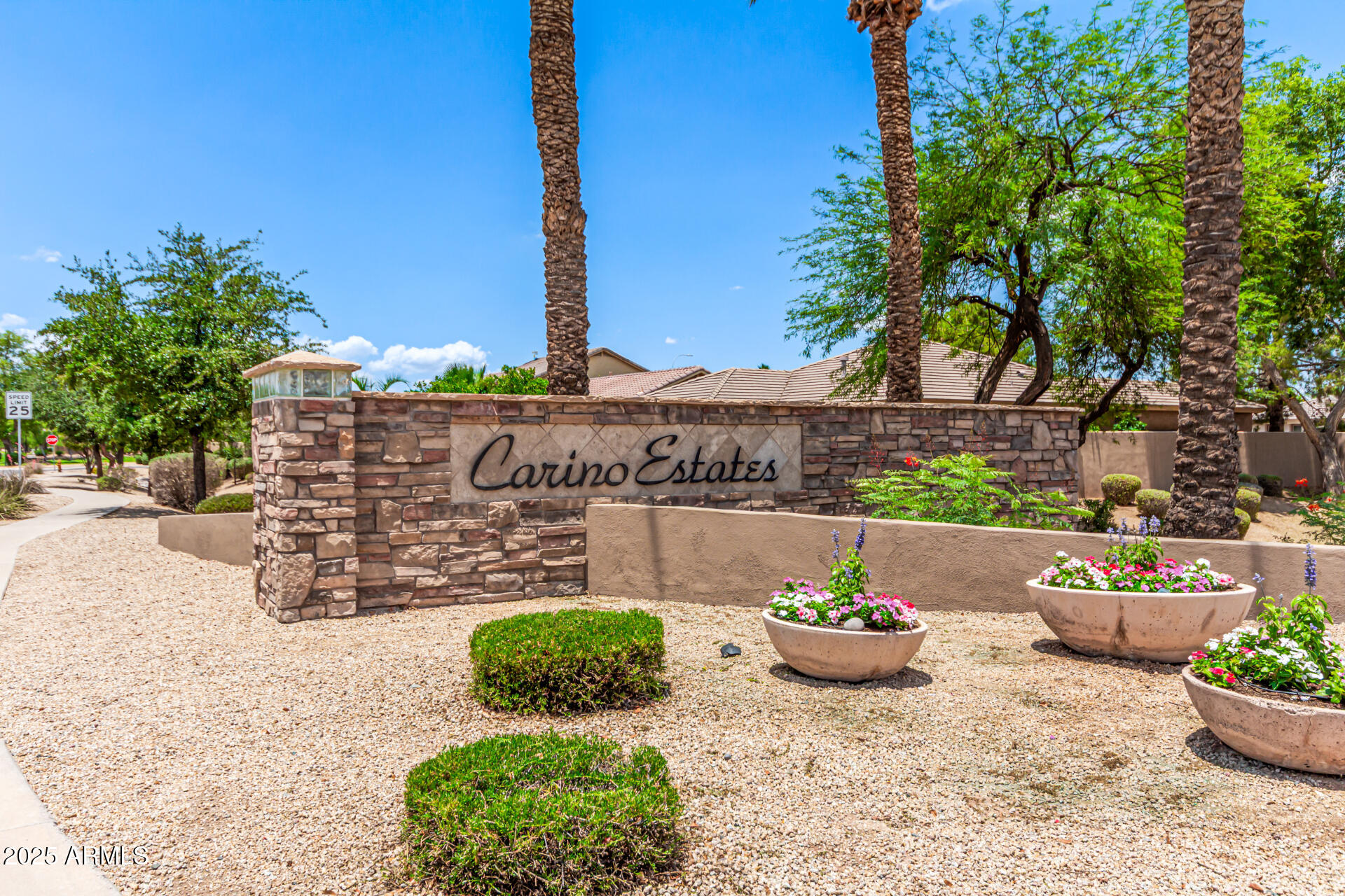 241 W. Roadrunner Dr. Chandler, AZ 85286 - Photo 36 of 44 Carino Estates entrance