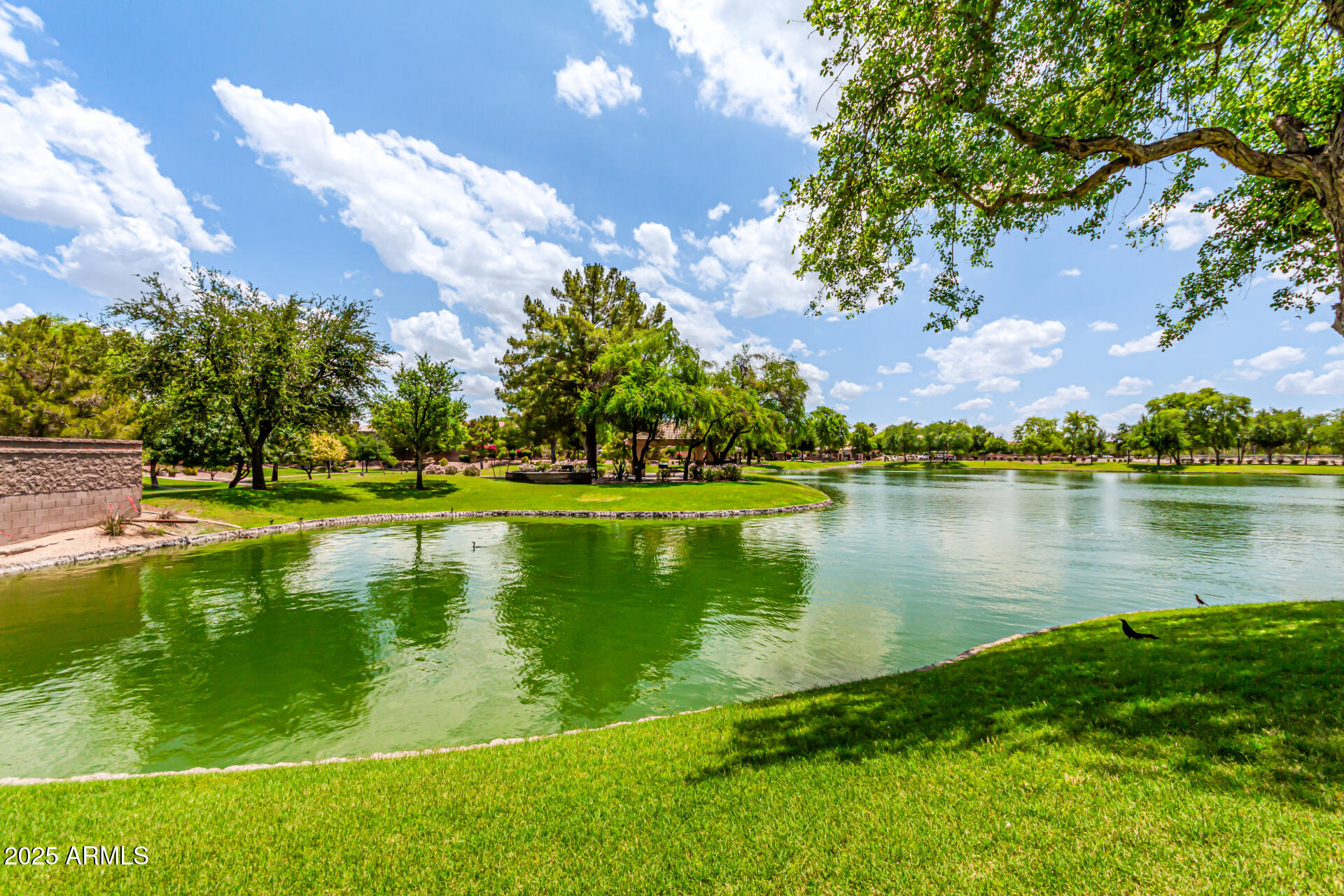 241 W. Roadrunner Dr. Chandler, AZ 85286 - Photo 41 of 44 Lake