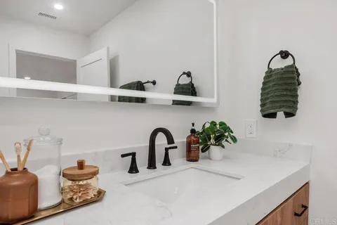 a close view of two sink and a potted plant on a counter