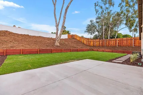 a view of a yard with palm trees