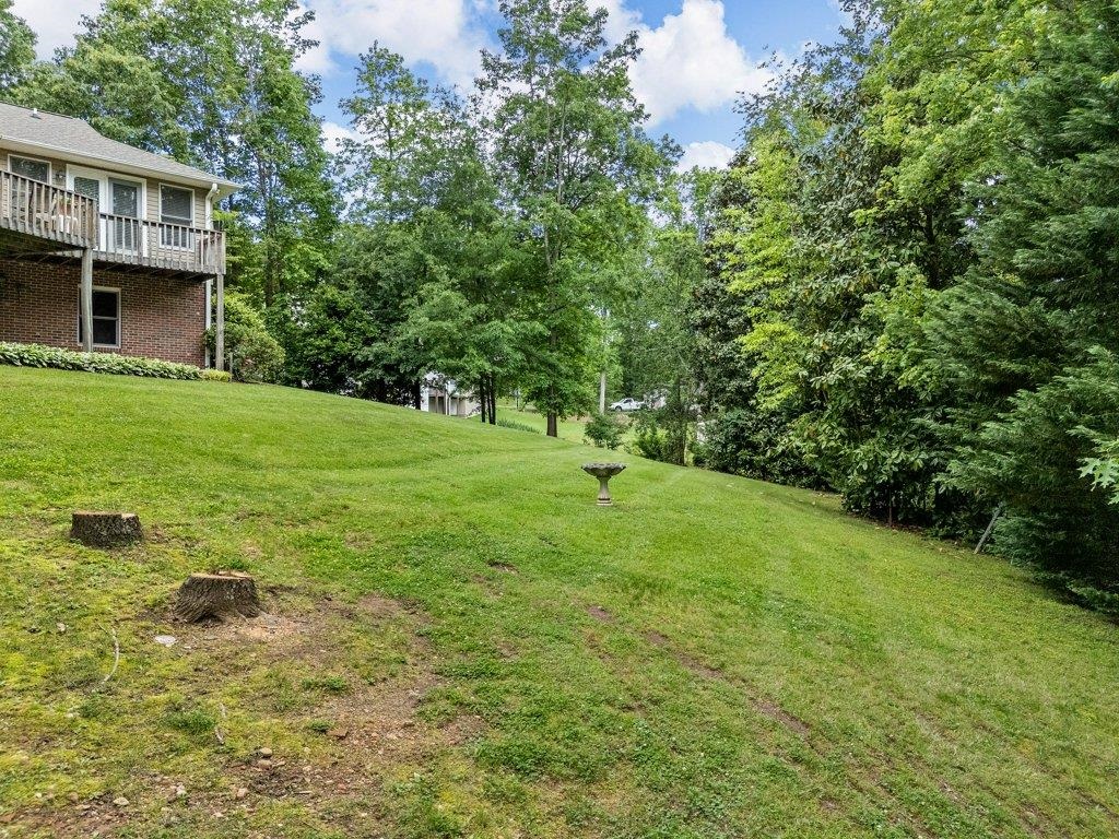 208 West Durham Street Landrum, SC 29356 - Photo 34 of 44