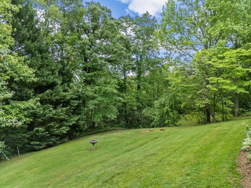 208 West Durham Street Landrum, SC 29356 - Photo 35 of 44