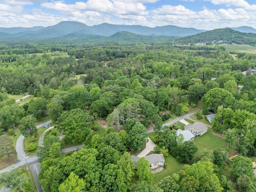 208 West Durham Street Landrum, SC 29356 - Photo 40 of 44