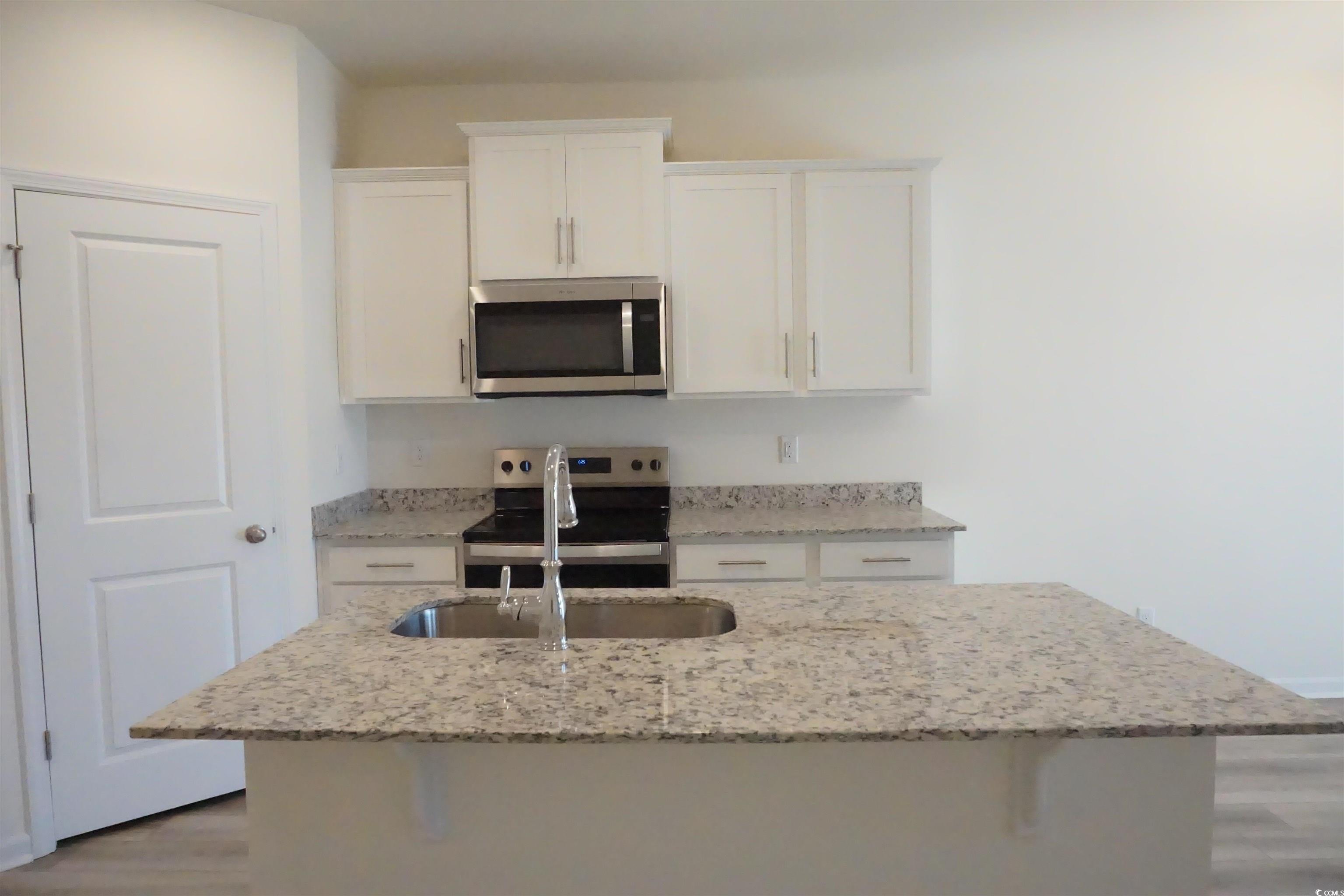 420 Hallie Martin Road Conway, SC 29527 - Photo 4 of 20 Kitchen with white cabinets, sink, light stone cou