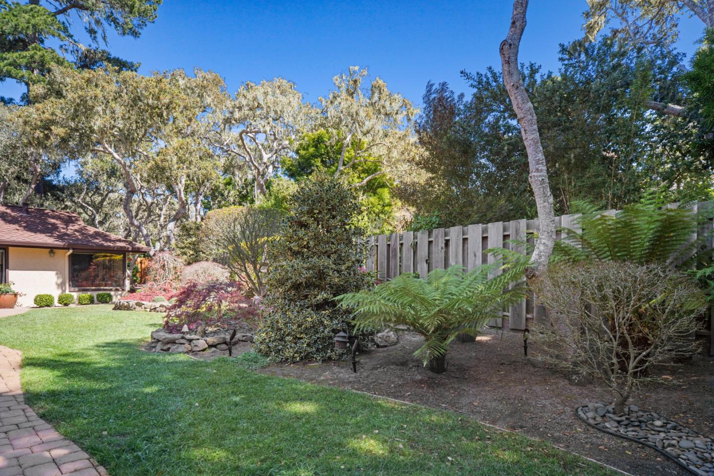 2911 Colton Road Pebble Beach, CA 93953 - Photo 43 of 46 a view of a backyard with plants and large trees