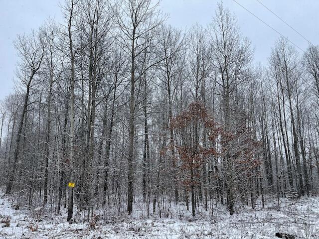 40 Tribe Lake Road Big Rapids, MI 49307 - Photo 1 of 5 IMG_0108