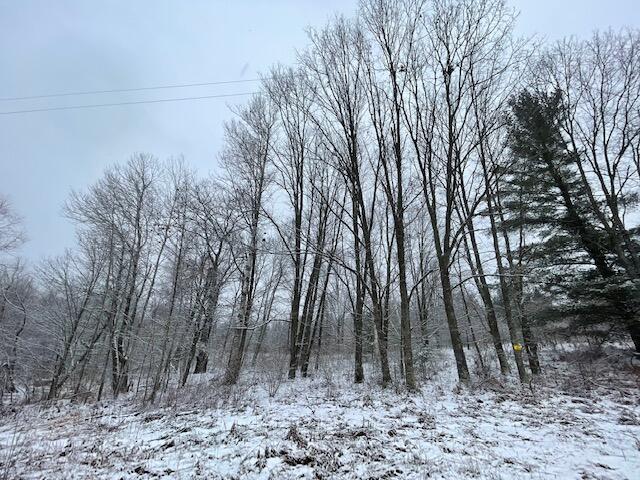 40 Tribe Lake Road Big Rapids, MI 49307 - Photo 2 of 5 IMG_0109