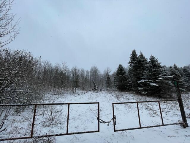 40 Tribe Lake Road Big Rapids, MI 49307 - Photo 4 of 5 IMG_0111