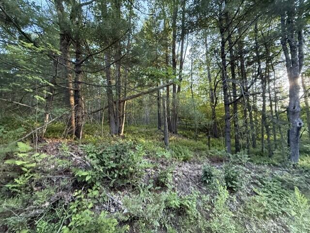110 Calderwood Road Washington, ME 04574 - Photo 2 of 7 f73455c0-b256-4eb2-815c-ea373eae57d3