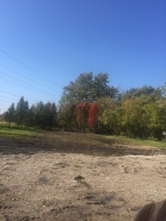0 South Gaylord Road Crest Hill, IL 60435 - Photo 2 of 10