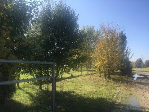 0 South Gaylord Road Crest Hill, IL 60435 - Photo 4 of 10