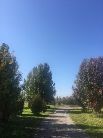0 South Gaylord Road Crest Hill, IL 60435 - Photo 5 of 10