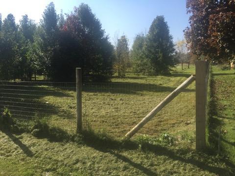 0 South Gaylord Road Crest Hill, IL 60435 - Photo 6 of 10