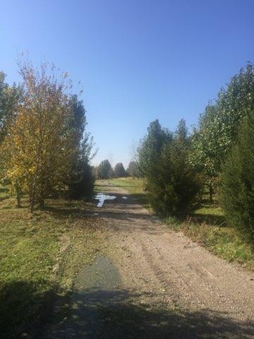 0 South Gaylord Road Crest Hill, IL 60435 - Photo 10 of 10