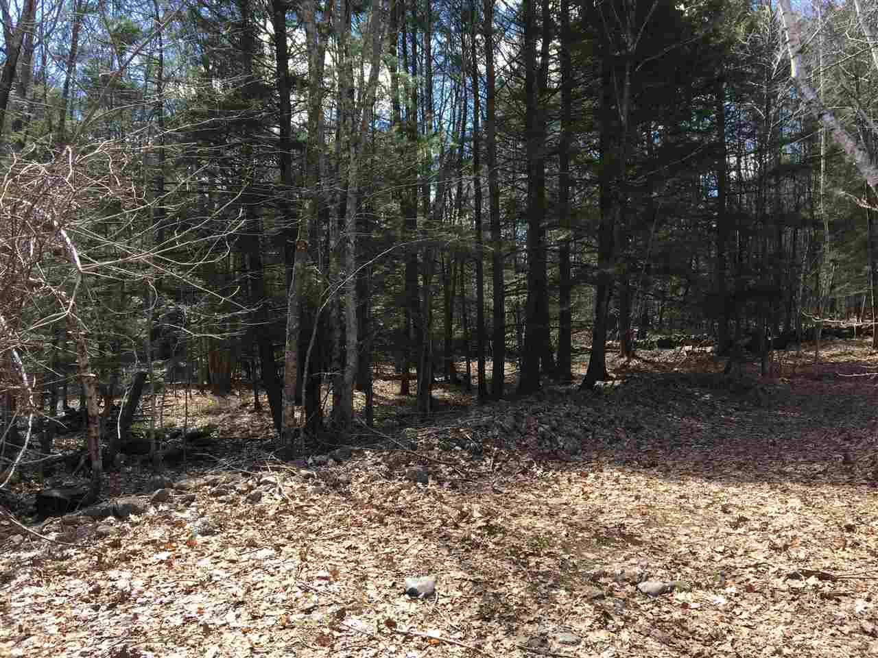 Tbd Cate Road Deerfield, NH 03037 - Photo 3 of 4