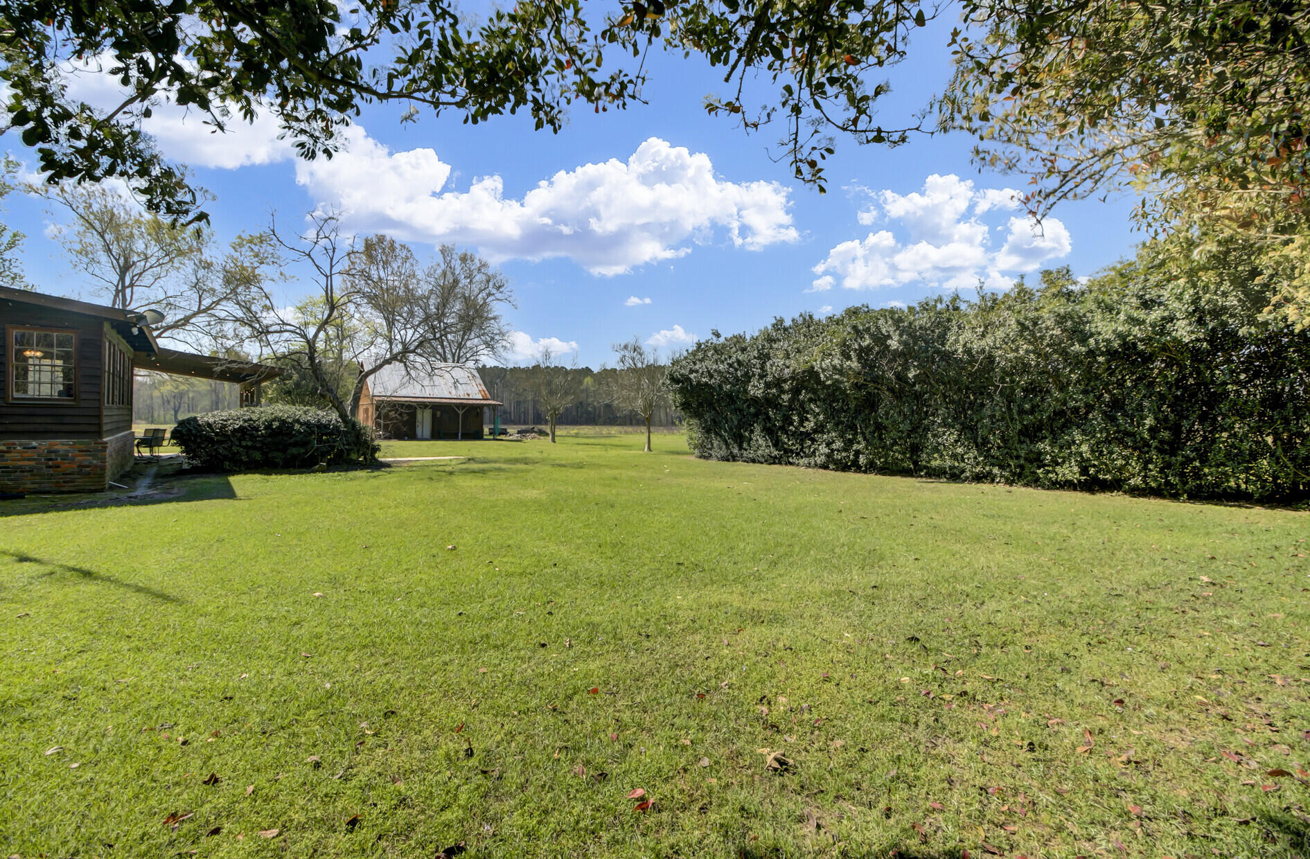 144 Hill Branch Road Ridgeville, SC 29472 - Photo 39 of 52 Rear Yard