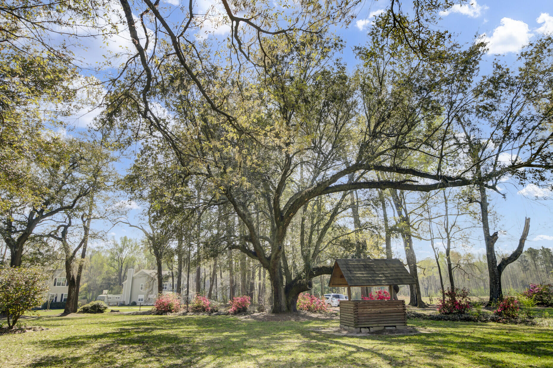 144 Hill Branch Road Ridgeville, SC 29472 - Photo 50 of 52 Mature Lawn