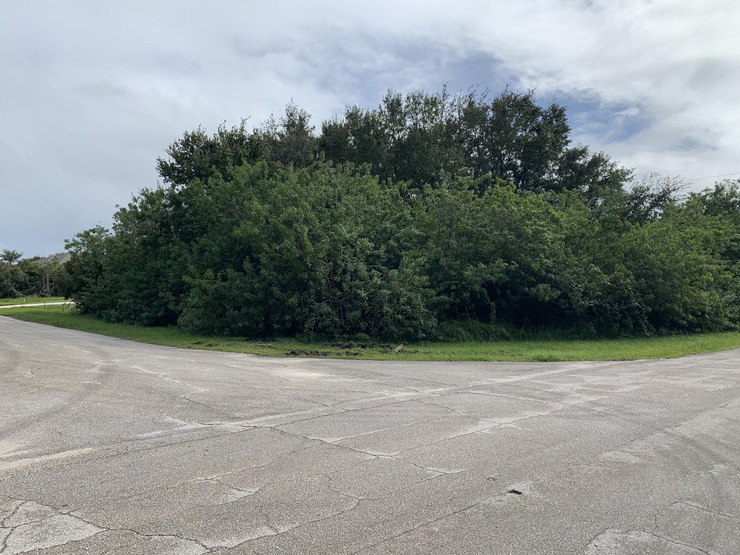 4531 Southwest Paley Road Port St. Lucie, FL 34953 - Photo 1 of 5 IMG-5204