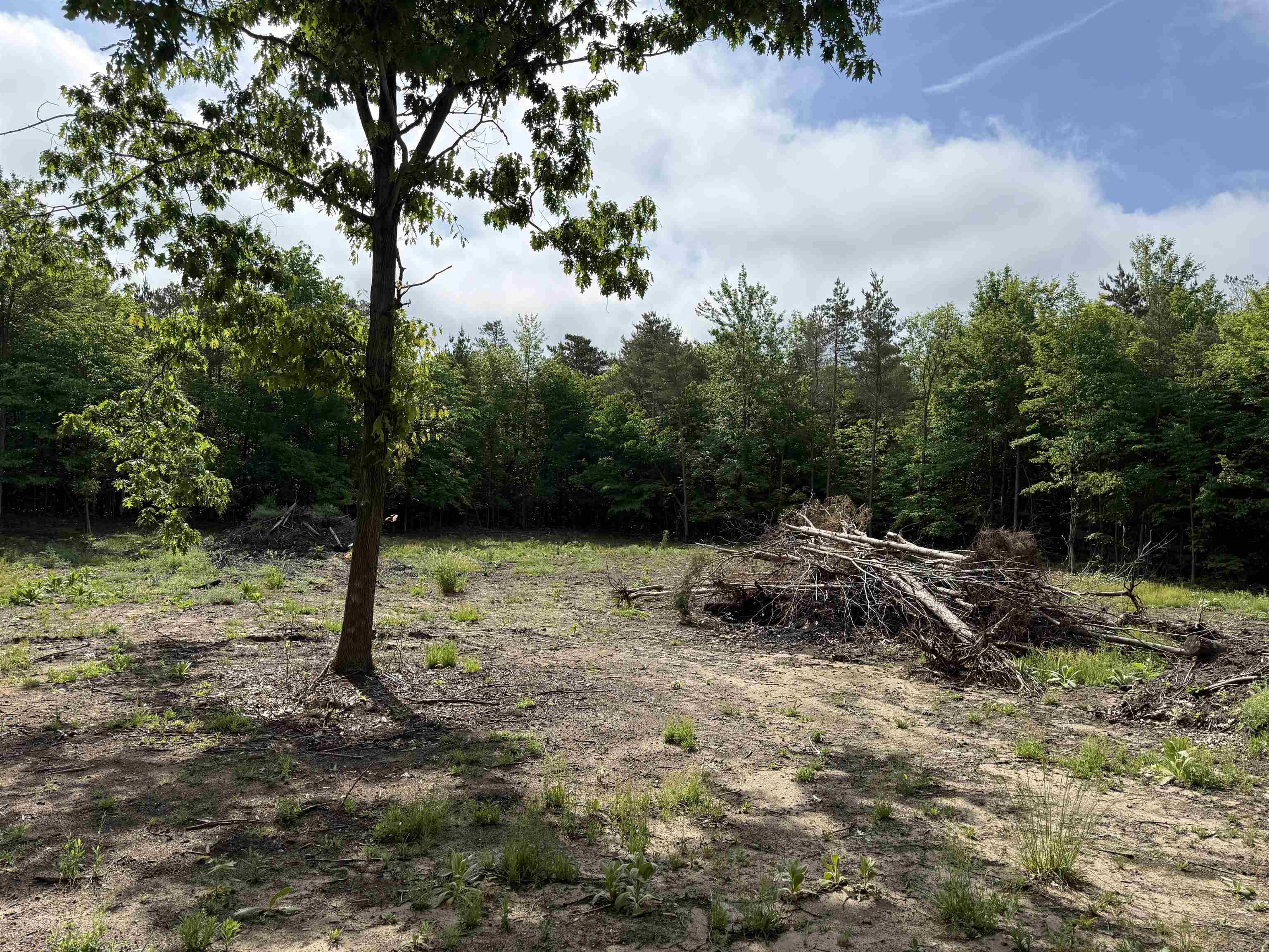 19493 Paradise Ridge Trail Cedar, MI 49684 - Photo 6 of 19
